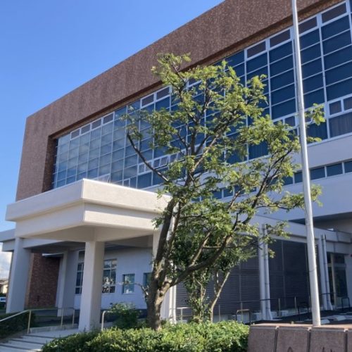 無双直伝英信流居合道新潟道場